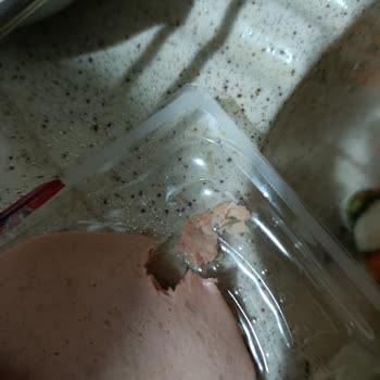 Lezita Piliç Salamında Beklenmedik Yabancı Madde