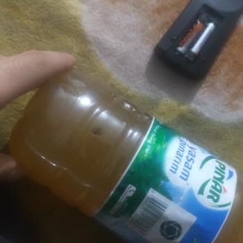 Nazo Şeftali İçecek Tozunda Böcek Ve Cevapsız İletişim