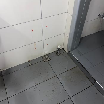 İstanbul Büyükşehir Belediyesi Albaraka Şubesindeki Lağım Basması Ve İSKİ Yanıt Vermiyor