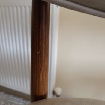 Zenora Masa Sandalye Teslimat Gecikmesi, Yanlış Renkli Sandalyeler Ve Kalitesiz Müşteri Hizmeti