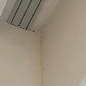 Ona İnşaat   Yalıtım Eksikliği Ve Sürekli Su Sızıntısı Şikayetleri