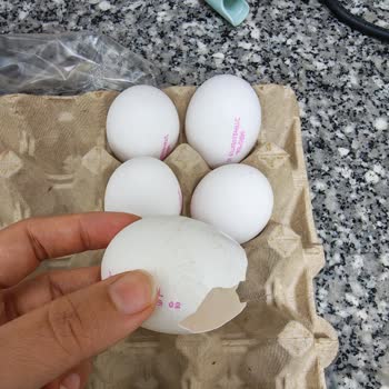 Irmaklar Gross Market Yumurta Kolisinde Sorun