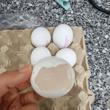 Irmaklar Gross Market Yumurta Kolisinde Sorun