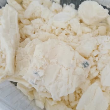 Tufanlar Gross Küflü Peynirde Hijyen Ve Kalite Kontrolü Sorunu