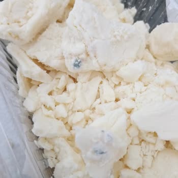 Tufanlar Gross Küflü Peynirde Hijyen Ve Kalite Kontrolü Sorunu