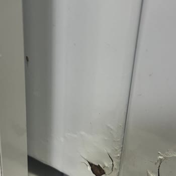 Bosch Çamaşır Makinesinde Paslanma Ve Temizleme Sorunları Garanti Kapsamı Dışında