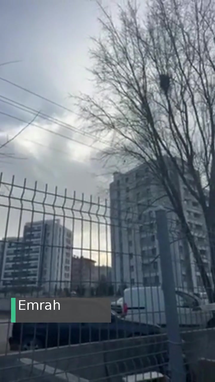 Ankara Büyükşehir Belediyesi Hayati Tehlike Oluşturan Elektrik Teli Ve Ağaç! videonun kapak resmi