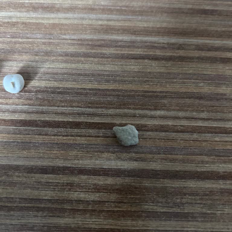 Harras Beyaz Leblebide Taş Parçası Bulunması Üzerine Üretim Kontrollerinin Artırılması Talebi