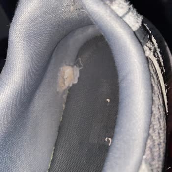 Skechers Ayakkabısının Kısa Sürede İç Yırtılması Ve Değişim İsteği