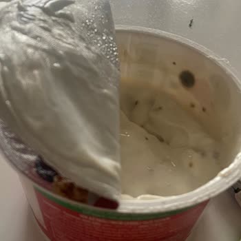 Küflü Sek Quark Yoğurdu Tüketici Sağlığını Tehdit Ediyor