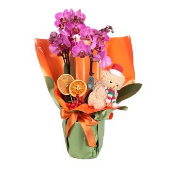 Taze Çiçek’te Teslimat Gecikmesi Ve Yanlış Ürün Gönderimi