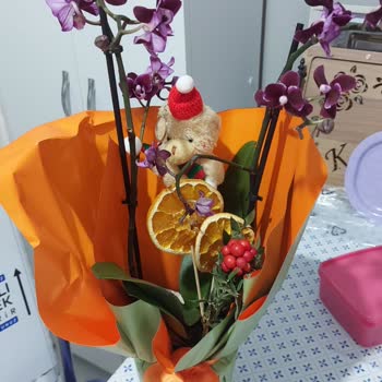 Taze Çiçek’te Teslimat Gecikmesi Ve Yanlış Ürün Gönderimi