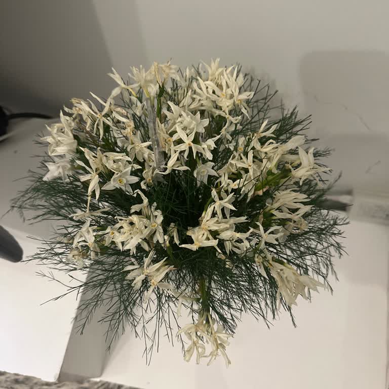 Hızlı Çiçek | Hizlicicek.com Ayıplı Ürün İçin Tarafıma Uygun Bir Telafi Sunulmasını İstiyorum