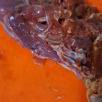 Çağdaş Marketler Bozuk Tavuk Satışı Ve İade Reddi, Kaba Mağaza Ve Müşteri Hizmetleri