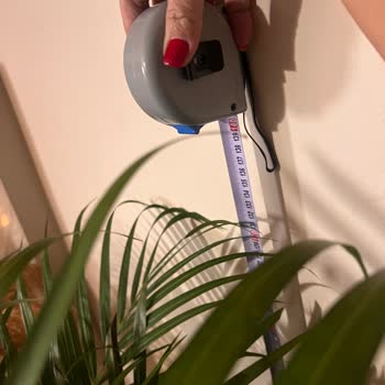 Cool Concept Flower’dan Sipariş Ettiğim Bitkiler Görsellerle Uyuşmuyor Ve Müşteri Desteği Yetersiz