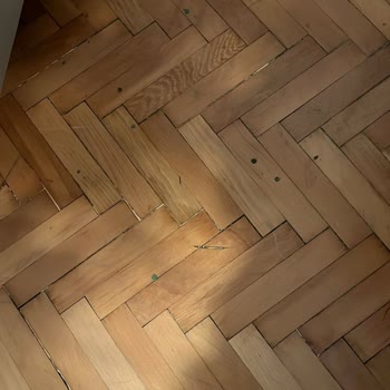 Cool Concept Flower’dan Sipariş Ettiğim Bitkiler Görsellerle Uyuşmuyor Ve Müşteri Desteği Yetersiz