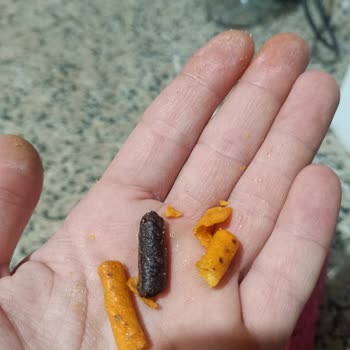Doritos Storm Paketi İçinde Sim Siyah Cips Tespit Edildi
