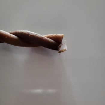Böceklenmiş Ve Bozuk Pedigree Ödül Maması