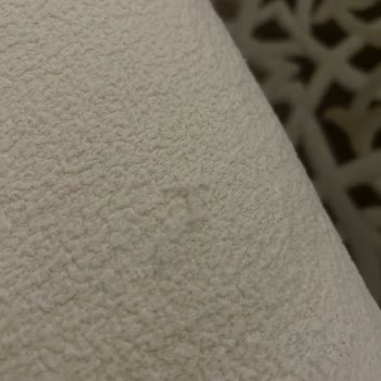 Lion Home Tekstil Kalite Açısından Beni Ciddi Şekilde Hayal Kırıklığına Uğrattı