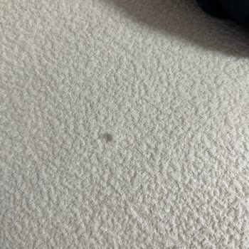 Lion Home Tekstil Kalite Açısından Beni Ciddi Şekilde Hayal Kırıklığına Uğrattı