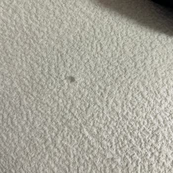 Lion Home Tekstil Kalite Açısından Beni Ciddi Şekilde Hayal Kırıklığına Uğrattı