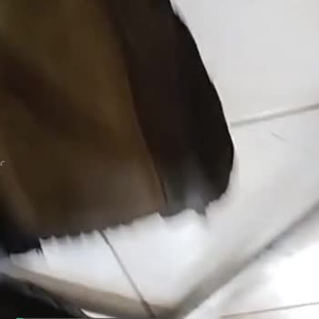 Greyder Altı Çıkan Botlar!