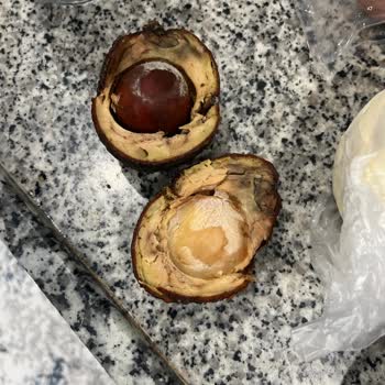 Migros Çürük Ve Küflü Avokado: İade Ve Değişim Talebi