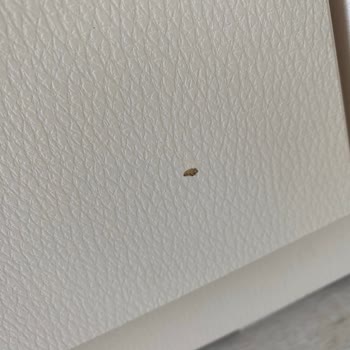 Kırık Aynalı Kapak Ve Çizik Çekmece İçin Ücretsiz Değişim Talebi