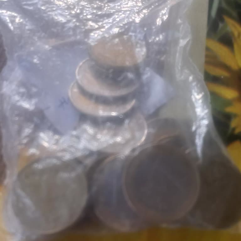 Ziraat Bankası Manisa Gölmarmara Şubesi Madeni Euro Bozdurma İşlemini Reddetti