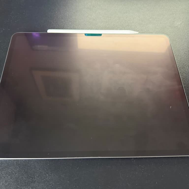 Apple İpad Air’de Tekrarlayan Hoparlör Cızırtısı Ve Model Değişikliği İsteği