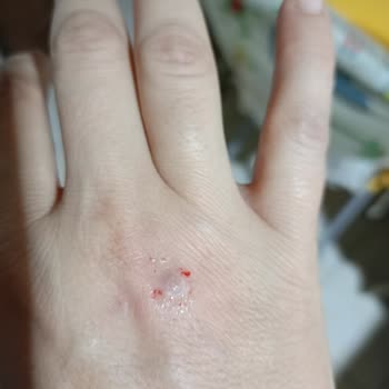 Soframa Doğal Ürünler Mağdur Etti!