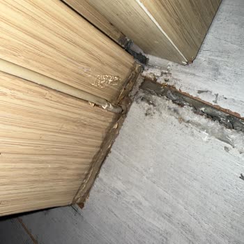 Su Sızıntısı Ekspertiz Yetersizliği Ve Sigortanın Haksız Redi