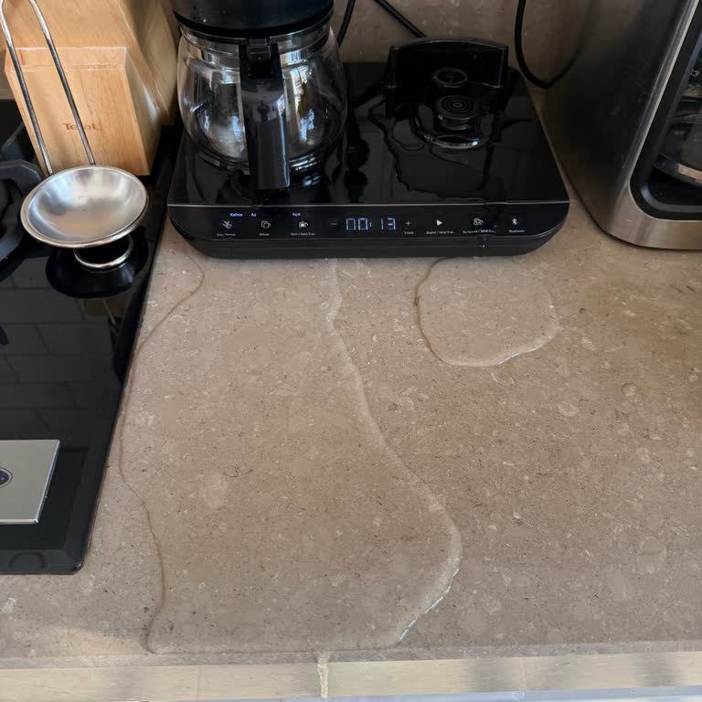 Arçelik Gurme Çay Ve Kahve Makinesinde Sürekli Su Sızdırma Sorunu Ve İade Talebi
