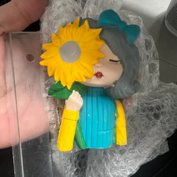 Sipariş Edilen Sukulent Ölçüsü Uyuşmazlığı Ve Çatlak Ürün İçin İade Talebi