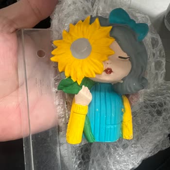 Sipariş Edilen Sukulent Ölçüsü Uyuşmazlığı Ve Çatlak Ürün İçin İade Talebi