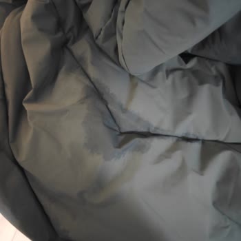 Mavi Montta Ter Sorunu Ve İade Reddi