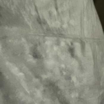 Reflex Evcil Hayvan Pedlerinde Kalite Düşüşü Ve Emicilik Azalması Şikayeti