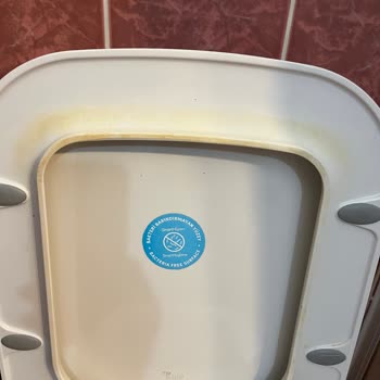 Kısa Sürede Sararan Kale Klozetimiz Ayıplı Ürün