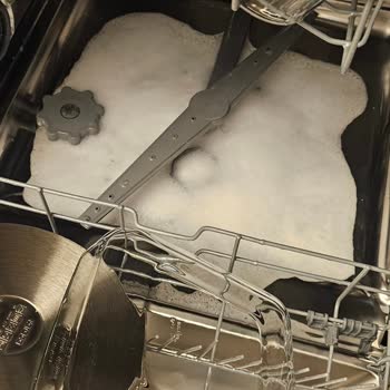 Fairy Platinum Plus Deterjanı Makinede Çıkarılamayan Köpük