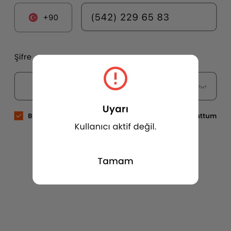 Paratim Hesabım Pasif; Giriş Ve Bakiye Görülemiyor