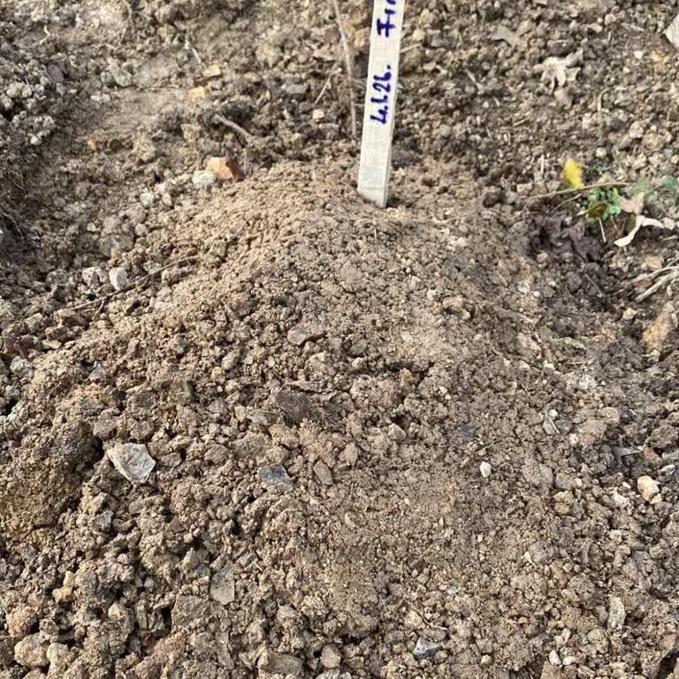 İstanbul Üniversitesi Veterinerlik Fakültesi Acil Bölümünde Yanlış Müdahale!