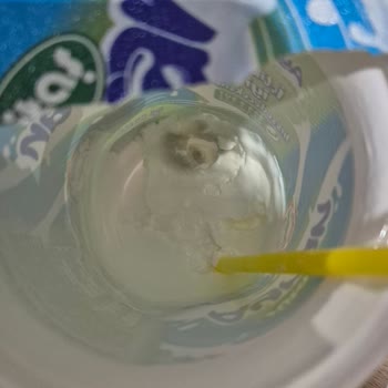 Aksaray Çiğköfteciden Aldığım Sütaş Ayranında Küf Tespiti