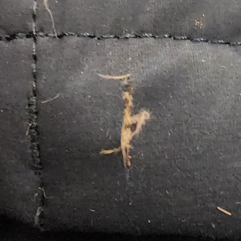 Sportive Ve Hepsiburada’da Sistematik Fiyat Oyunları Ve Yanıltıcı Ürün Gönderimi