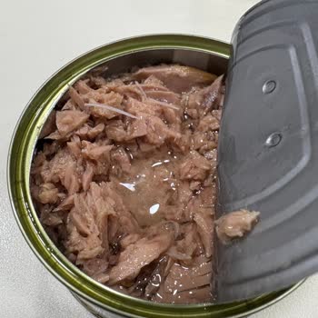 Migros Ton Balığında Kılçık Benzeri Parçalar Çıktı: Ürün Güvenliği Ve İade Talebi