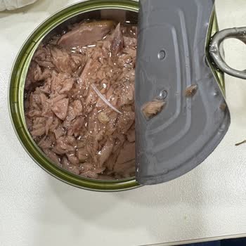 Migros Ton Balığında Kılçık Benzeri Parçalar Çıktı: Ürün Güvenliği Ve İade Talebi