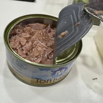 Migros Ton Balığında Kılçık Benzeri Parçalar Çıktı: Ürün Güvenliği Ve İade Talebi