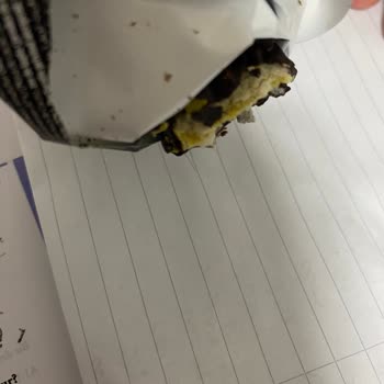 Kahve Dünyası Gofrik Çikolatasında Kıl Tespiti: Hijyen İhlali Ve Değişim Talebi