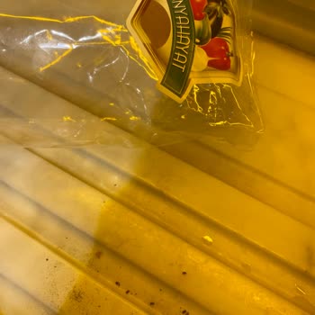 Kuru Patlıcan Ve Biberde Böceklenme: Gıda Güvenliği Şikayetim