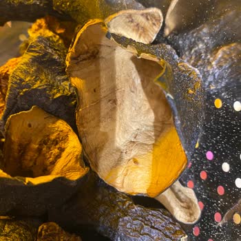 Kuru Patlıcan Ve Biberde Böceklenme: Gıda Güvenliği Şikayetim