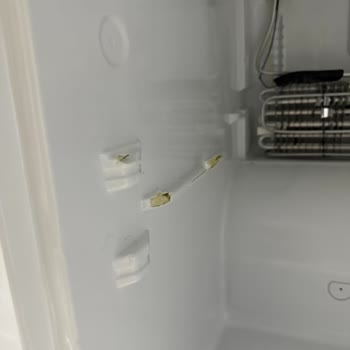 Arçelik Buzdolabı Fan Arızası Ve Kalıcı Koku Sorunu Çözülmedi